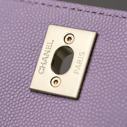 Chanel Flapbag with Handle in Vea/Violet