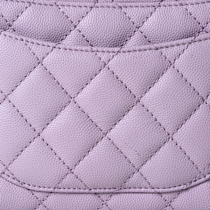 Chanel Flapbag with Handle in Vea/Violet